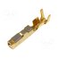 SJ2F-21GF-P1.0 Contact; female; J2000; phosphor bronze; 0.3÷0.75mm2; reel; 4.6A k8EzjiY-Yq1apEJmuVocRrj4RAbIfMydqN_Q0CRRBiI