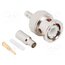 112134 Connector: BNC; plug; male; straight; 50Ω; crimped; for cable; POM 2RZkvGnrIuZ1tEPDZmLgtbhoPqDuSfE7xrFa6pq2Og4