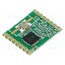 RFM65W-433S2 Module: RF; FM receiver; FSK; 433.92MHz; SPI; -120dBm; 1.8÷3.6VDC 6dWPUFjANQRzDbUV8gwT4bHcuzpplH1naDuJYeVWDU0