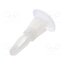 8G820V40618 Assembly stud; polyamide; L: 6.4mm; latch/latch; Ø2: 4.75mm 0xCqw10Lc0cg2Ht7bZa4v5fp01N6hwhTKTP1ev76iYE