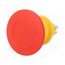 61-6461.4077 Switch: emergency stop; 16mm; Stabl.pos: 2; NC + NO; red; none; 61 VhwWUjN1OAN0a7cQ08sWN8OFCbHTwtA8k0uujQPzyOA