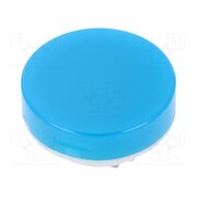 AT4054GJ Cap; Ø19x9mm; blue-white; LB Panel Seal 2tbJ2hG4eXKacJbXsewCuutW_VOkVY1OfQ8ISrqNtj8