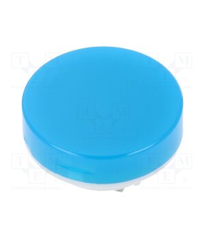 AT4054GJ Cap; Ø19x9mm; blue-white; LB Panel Seal 2tbJ2hG4eXKacJbXsewCuutW_VOkVY1OfQ8ISrqNtj8