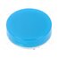 AT4054GJ Cap; Ø19x9mm; blue-white; LB Panel Seal 2tbJ2hG4eXKacJbXsewCuutW_VOkVY1OfQ8ISrqNtj8