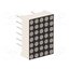 FYM-7571AUHR-11 Display: LED; matrix; 5x7; red; 30÷60mcd; cathode; 12.7x17.8x6.3mm u0a4KU29-b0H_0GimXXW9aB-FHu5W7x9joT1o4I3Ito