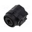 NCJ6FI-V-0 Connector: Jack 6,3mm + XLR; socket; female; straight; THT; 3A RTO1WmEgTK8ksIYlTPhp-Rx4rcdEJ-kddbL-kJoJGa0