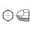 1092960 Nut; hexagonal; M12; 1.75; 6 steel; 19mm; BN 150; DIN 1587; dome JLydWNHFNTHKY8nzHV-iUIeNlU8UMiwTse9RWPF5GXg