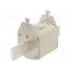 004186214 Fuse: fuse; 100A; 500VAC; gG; ceramic,industrial; NH3C; WT-NH oyAKmWLhtZzV79ExpCGU0i-rGmaoPlyNPVdtN_9Bawo