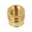 002M6 Threaded insert; brass; M6; BN 37885; L: 7.7mm; for plastic 7qvDeQJgSvdQAaFXHuHydoJP3CNmw9yITxyU8SGdbwY