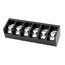 TERMINAL BLOCK 6pin, L=9.5mm, h=18.5 CKK006+1.jpg