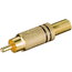 PLUG RCA black, gold-plated CKI145.jpg