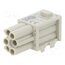 09149061101 Connector: HDC; module; female; Han-Modular® Domino; PIN: 6; Han D® O1Z-ouXL3qiYcyNbMHR61YF2Iai2QrNZGPTqLbfw57g
