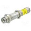 ILM12F-DOE-520-7-289-F Module: laser; 7mW; green; cross; 520nm; 10÷30VDC; ILM12F; IP54 hHDPs8kb7QyF2xA2Uoi1HA3w7FCx_e7jW3Dtngj0qdM