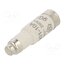 LE1410 Fuse: fuse; 10A; 400VAC; 250VDC; gG,time-lag; D01 QXlEajijA4WxuppECblpK09ql2XHhQ8UNBa8Kd1ANhg
