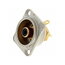LIZDAS RCA gold/juodas Neutrik NF2D-0 CLI376B+1.jpg