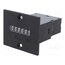 1.230.301.038 Counter: electromechanical; pulses; 230VDC; on panel; 50x60x62mm SxsgeMJmmW_HGTUM-ufWzwn3sGX3BsAa17IS5aATO7M