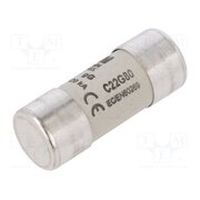 C22G80 Fuse: fuse; 80A; 500VAC; gG; ceramic,cylindrical,industrial _Whrnvp89w7n9tNzwiebl_yvChSK7BrO63-isZhK_hE