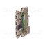 MCZ CCC 0-20MA/0-20MA Converter: analog signals; for DIN rail mounting; 0÷20mA,4÷20mA L4CfxnrD0pgMVWg6NvJFswubBZ7DGvjavz5sxHVDP3g
