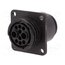 213893-2 Connector: circular; socket; female; PIN: 10(2+8); CPC Series 6 JG7169ozW0pjTTbA5B9YeTzctmM6uHQctTFAVfm3-W8