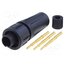 EN2C3M20G1W Connector: circular; plug; male; 6.5A; 125V; PIN: 3; EN2; soldering FEtpCal0T4RwC0I62sDr8GSYNv076xwTsq0iPHe-PgY