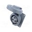 2CMA166952R1000 Connector: AC supply 3-phase; socket; IP&S; female; PIN: 3; angled xrscsYKzq2JUkTM6ZsxnANKa4LHnU8EQYrLR_Wv25vM