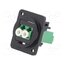 CP30248M3B Connector: fiber optic; coupler; single mode duplex (SM); metal eSvj9hvnfmMLqpQ3A6kxlF8u7cPuMi_7VBUJk_E5Rzo