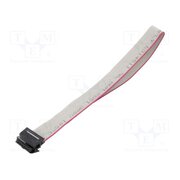 DS1052-01-122B2NA203001 Ribbon cable with IDC connectors; Tape ph: 1mm; Contacts ph: 2mm uvybLfUHQsjSxYpb6wVvpz25d32M3HSgnCyUDmZMl-0