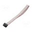 DS1052-01-122B2NA203001 Ribbon cable with IDC connectors; Tape ph: 1mm; Contacts ph: 2mm uvybLfUHQsjSxYpb6wVvpz25d32M3HSgnCyUDmZMl-0