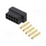 M80-8891005 Connector: wire-wire/PCB; plug; female; PIN: 10; Datamate L-Tek; 3A FTc8GMMuoYr7I8X4UTUdTTkYvW8WBcPjzyUTsjrwfZA