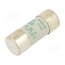 442210 Fuse: fuse; 10A; 690VAC; aM; ceramic,cylindrical,industrial 84pv7WUW6VFPIh05aK2DjOle30DkuKi6spYhGiB-ILM