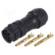 CC-03BMFA-QL8LPP Connector: circular; plug; for cable; PIN: 3; female; with contacts O5MJCcsHAKugZxlnGurgbVaFbzTWWinnHOW3SozitwM