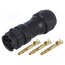 CC-03BMFA-QL8LPP Connector: circular; plug; for cable; PIN: 3; female; with contacts O5MJCcsHAKugZxlnGurgbVaFbzTWWinnHOW3SozitwM