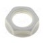 CL1409 Nut; white; S2 f99uRYOXjynC1mlET9KIQfPk7y5JLpcQMcpjnDP6PnA