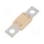 MEGAVAL 225A Fuse: fuse; 225A; 32VDC; automotive; 68.6mm kFUAoLhxE7nVULCL5edZ064_p3d2GZtcDz5pLGlatW4