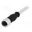 21348500882005 Connector: M12; plug; female; PIN: 8; straight; cables; 0.5m _v-fOvrxAAKQCy3w6Ynl5ky071ARrKR37EDxd1txLoE