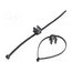 156-00020 Cable tie; with fixing lugs,with fixing for edges; L: 200mm v6qMoMXnB5CF44M9LweDIcwNSlV0qDEbfYYyLPBzZyc