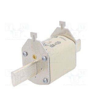004185214 Fuse: fuse; 100A; 500VAC; gG; ceramic,industrial; NH2C; WT-NH zYW5e5pRgS0mADOwXHAi1TnQlWOlm4e-ZdwxyEv0cnY