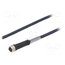 CF.INI-P4-M8-BG-5 Cable: for sensors/automation; M8; PIN: 4; straight; 5m; plug; 30VDC UvRl5651YvKj-5SQTIOGStzDBFgbyGXYDrodeoZ1f_E