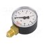 106-K Manometer; 0÷10bar; G 1/4",bottom connection; 50mm; plastic XafWTyfX1Cddok4ezvHcmcfx8phgLO1XaoF-v1frvkQ