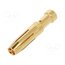 16A-GF-2.5 Contact; female; copper alloy; gold-plated; 2.5mm2; 14AWG; bulk 3kC8CbJbvx6WZCVLETIovKI1FxTIFirboWbwDuLHhWo