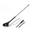 A00004 Antenna: automotive; car top; 0.41m; AM,FM; 5m T-f4tWcR6mKfQCm6sVbD36j9E16edR7xDBfczGFkt6s
