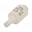 LE27F10 Fuse: fuse; 10A; 500VAC; gG,quick blow; DII 1a_tEIwo0Id4uHM85X8FNA1RJTSca04k8lVr2JWs0WQ