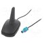 ANT.S21 Antenna; automotive,SHARK; AM,FM; Fakra; black; 12VDC; RG174 TlfdjTEqFzyaTphPCS_khq52_M-186dtR3Mk1O2jDiY