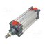 FMS063.0100.00 Profile cylinder; Piston diam: 20mm; Piston stroke: 100mm zFaWTM6CjyK3PUFUCK3D3nC2j55U05TR-7F7LiniyK0