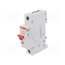 2CDD281101R0016 Switch-disconnector; Poles: 1; for DIN rail mounting; 16A; 253VAC 4f11gzgkWFuaH2vBOVpmtqN_WJiusOvrqo-VkjcocoA