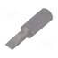 861LP/0.6X4.0 Screwdriver bit; slot; 4x0.6mm; 1/4"; Overall len: 25mm uPg_Fp55hDfd9d20TXVKMYELuo1RJmu4hnoJfb17taE