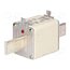 315NHG2B Fuse: fuse; 315A; 500VAC; 250VDC; gG,gL; ceramic,industrial; NH2 IYGzo9wjQ3OEmfv9ucacVymjIpCnzEuJVjq2ah8-rCI
