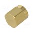 RFCT-SMA-CAP-GS-1 Accessories: protection cover; chain; gold-plated; IP67 1XvhVpV0tGccxfMv96fqUtfMGHnZ5pjSknYFWVBPGA8