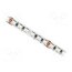 S008120TB3PZ/C1 LED tape; RGB; 4040; LED/m: 120; 8mm; white PCB; IP20; 120°; 19.2W/m Nx3gsRJBR0V8dKG39HyMga8Jutt1hI9VLwhkxWGc468