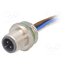 43-01009 Connector: M12; socket; PIN: 4; male; cables; Thread: M16x1,5; 0.5m ienxSLqpeNeYQbPHsZ2JKXi3VN-94hYqg9OiZjjUVTo
